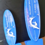 surfing-trophies